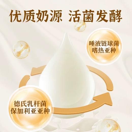 新希望 奶皮子酸奶风味酸乳 130g/杯 商品图1