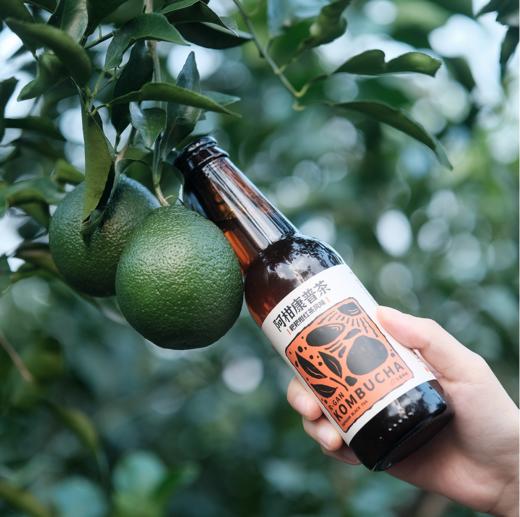 耙耙柑红茶康普茶  230ml*6瓶装 商品图0