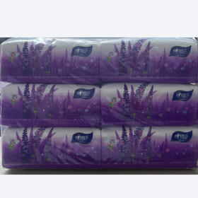 心相印牌面巾纸DT100  6连包