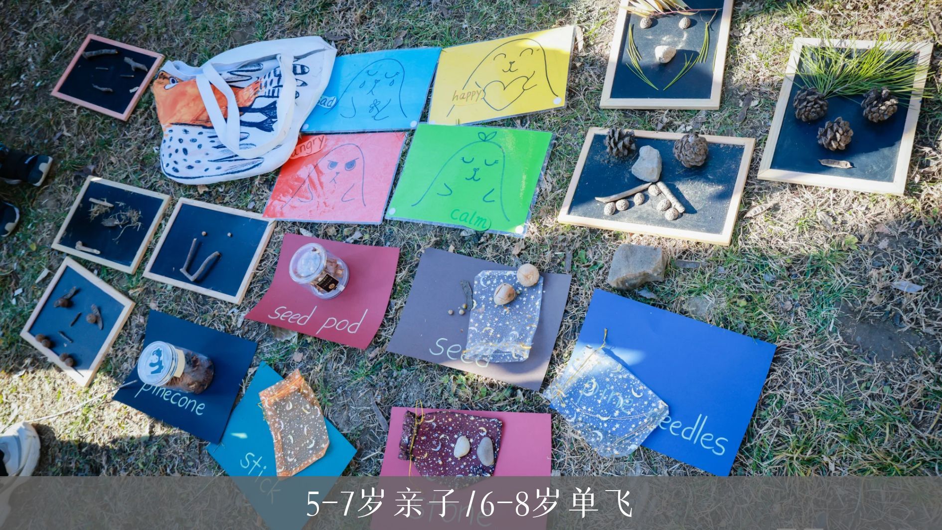 北京奥森丨双语自然探索丨人文与科学系列丨2025秋冬丨周末课程