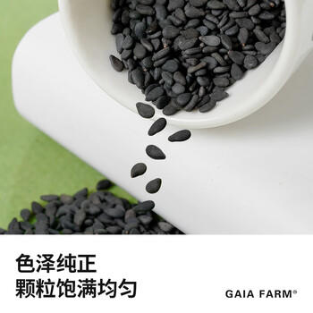盖亚农场黑芝麻350g  生黑芝麻 烘培辅料黑芝麻糊 杂粮粗粮 无染色 /粮油调味 /杂粮 /谷米类 商品图6