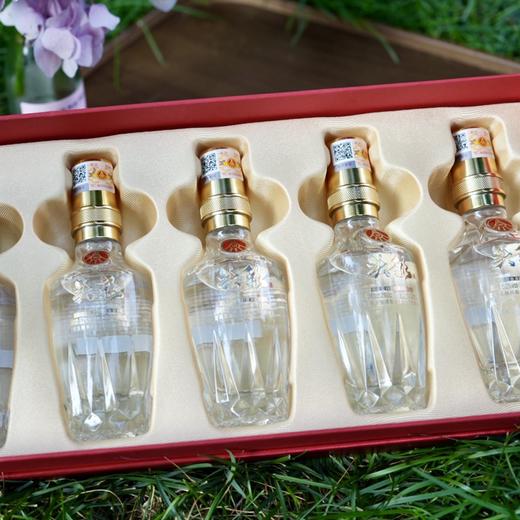 疯抢中！！【五粮液股份出品·白酒系列】52°浓香型白酒 大小瓶组合 100ml*5瓶礼盒装/500ml*6瓶礼袋装 商品图9