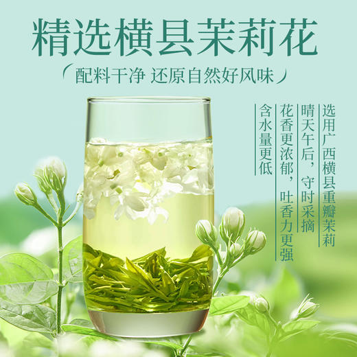 【茉莉玉露】茶马世家丨明前茉莉玉露 茉莉花茶 150g*2罐 送手提袋 横县茉莉花搭配湖北恩施玉露 商品图3