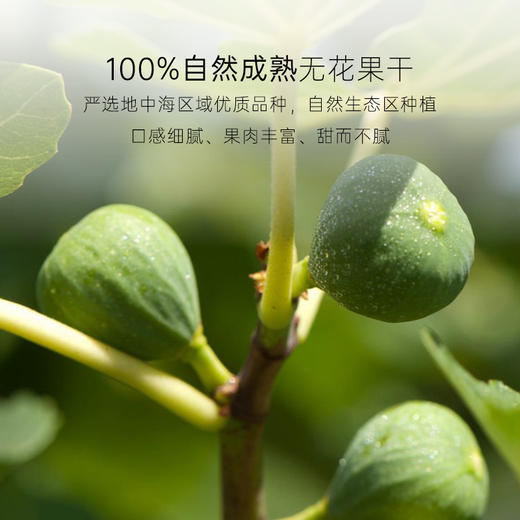 几分之几 原切无花果干 100g*2 商品图4