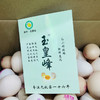 【玉皇峰】无抗蛋，6小时牧场新鲜直达！无激素，无药残，无抗生素，限量供应，绿色天然，吃着放心，一款回购满满的天然营养！！无菌鸡蛋！ 商品缩略图1