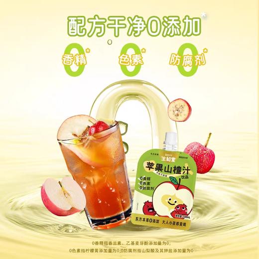 生和堂苹果山楂汁100ml 商品图1