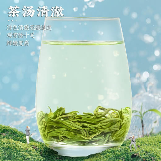 素言茶坊 龙腾四海 花开富贵305g.WN 商品图4