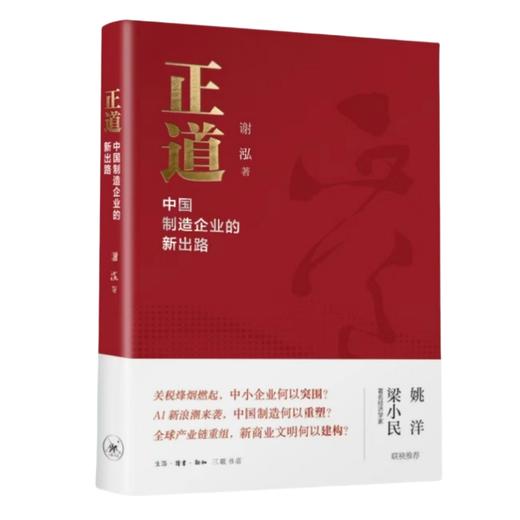 正道：中国制造企业的新出路 商品图1