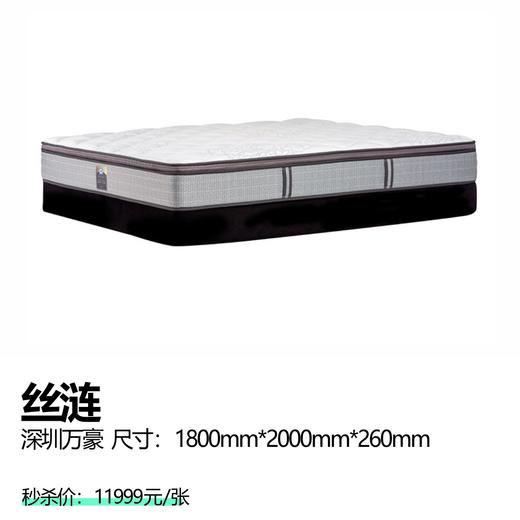 丝涟  深圳万豪 商品图0