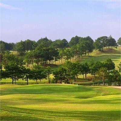 大叻皇宫高尔夫俱乐部 Dalat Palace Golf Club | 大叻高尔夫球场 | 越南高尔夫球场俱乐部 商品图1