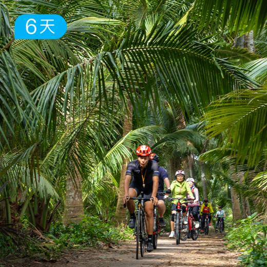 秋冬爆款｜海南4+2轻骑行 零基础可玩 提供骑行装备 5日 商品图2