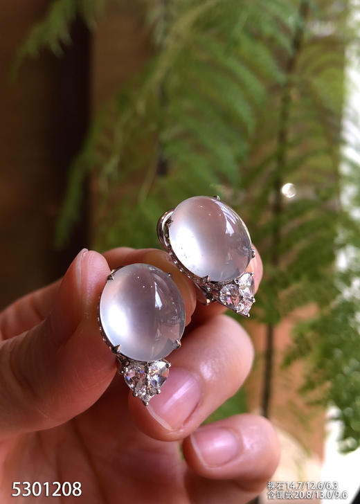 玻璃种蛋面耳钉【5301208】具体价格微信咨询 商品图1