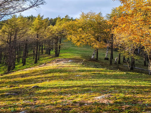 五一3日【大青山徒步】赤峰的“山水沙”三重奏の美林谷-大青山-勃隆克沙漠の三天徒步33公里 商品图4