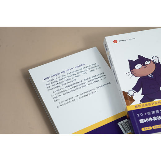 品牌IP大作战：胜诉背后的故事 方图律师事务所 法律出版社 商品图4