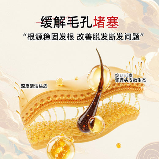 【黄飞鸿十三姨 古方何首乌生姜固发保健液】中草植物配方 健字号洗发水 古法炮制 商品图3