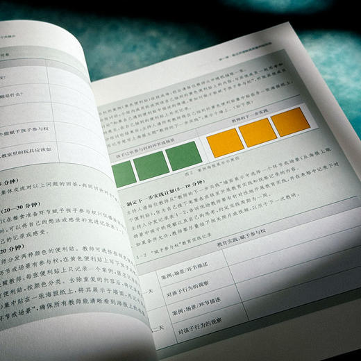 高质量师幼互动 面向0-6岁婴幼儿的11个关键点 视频教研工作法 商品图11