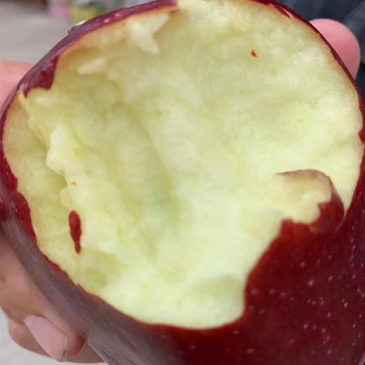 【助力】甘肃花牛苹果成熟啦！先脆后粉，香甜多汁，一果两吃！一颗吃过的人都赞不绝口的苹果。恳请转发支持！ 商品图6