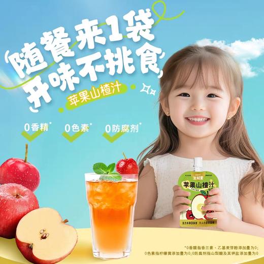 生和堂苹果山楂汁100ml 商品图2