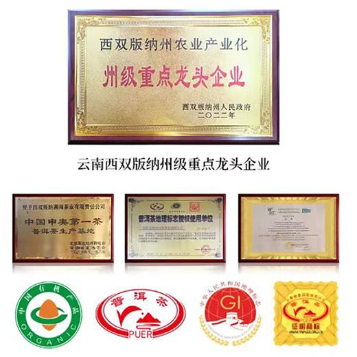 疯抢中！！【活“gai”发财·洪海古树普洱礼盒】100g*2饼普洱熟茶+100g*2饼普洱生茶 好喝好寓意 茶香饱满 节日好礼/送手提礼袋 商品图3