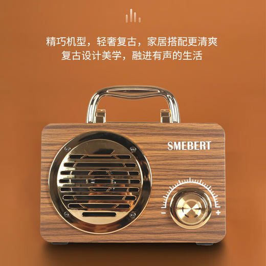 德国舒曼 FT-3001  蓝牙音响 商品图1