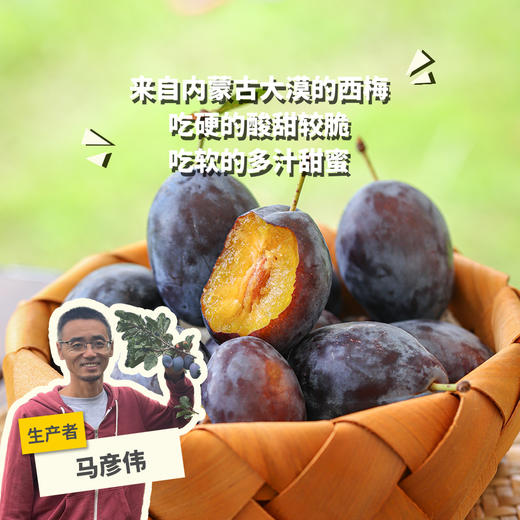 生态大漠西梅  | 合作生产 * Eco-prunes of desert  | Coproduction 商品图0