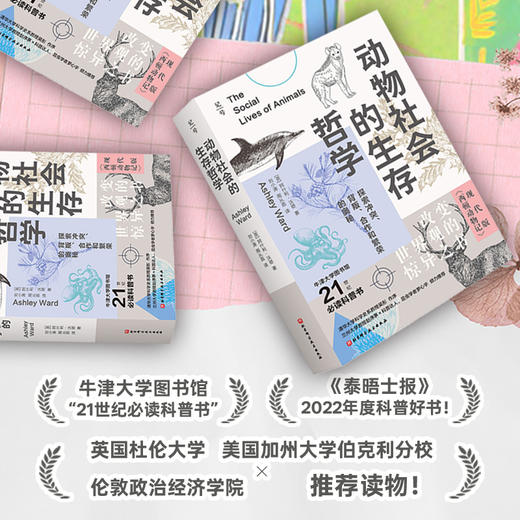 动物社会的生存哲学：探索冲突、背叛、合作和繁荣的奥秘 商品图3