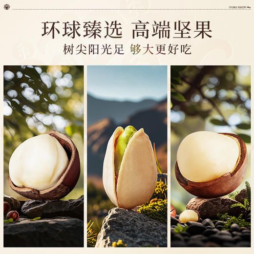 臻味-1.52kg环球吉祥果礼盒*特价.WN 商品图2