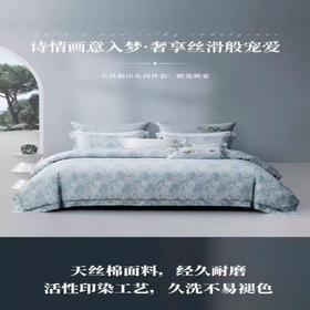 10楼 梦洁 高端床上用品 睡莲映象天丝棉四件套200*230/248/248 吊牌价2599/2999 活动价1699/1999