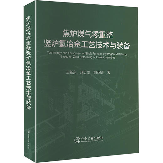 焦炉煤气零重整竖炉氢冶金工艺技术与装备 商品图0