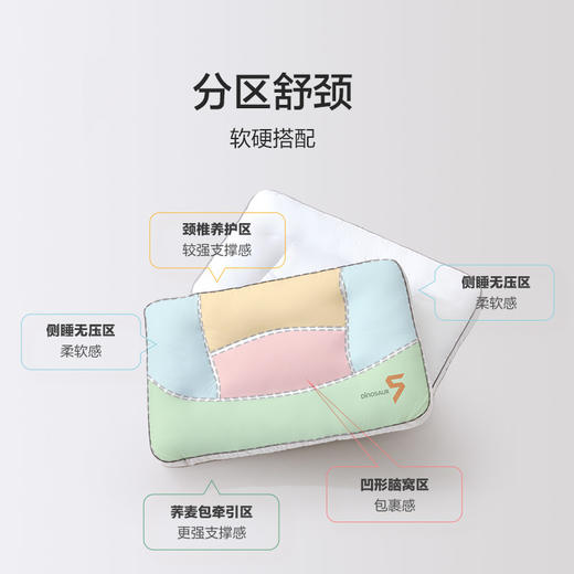 恐龙 5号草本分区调节枕-40×65cm 商品图2