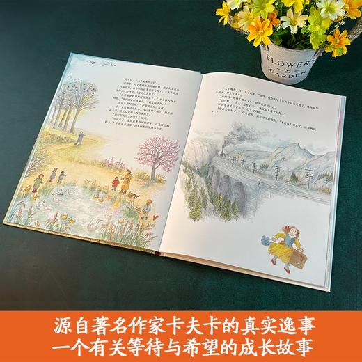 百班千人69期二年级阅读书目 如果你在该多好—来自卡夫卡的明信片 2年级课外书必读正版授权 商品图2