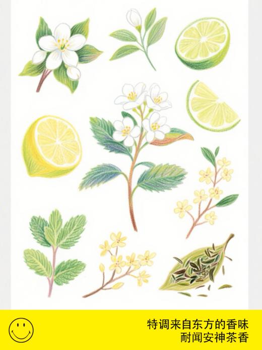 smiley笑脸 经典笑脸石膏香氛片茶香 商品图1