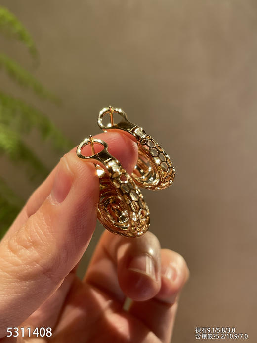 5311408，无事牌耳坠。具体价格微信咨询 商品图7