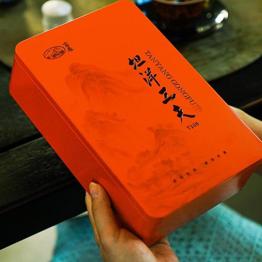 【福建农垦】富春坦洋工夫T168(5g*18泡) 商品图0