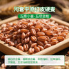 鑫乐 原味小麦粉 无添加绿色食品 国家地标五原小麦 自然原味麦香浓2.5kg/袋 商品缩略图5