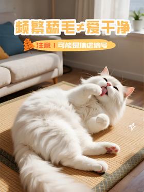 频繁舔毛≠爱干净❗可能是猫咪的焦虑信号