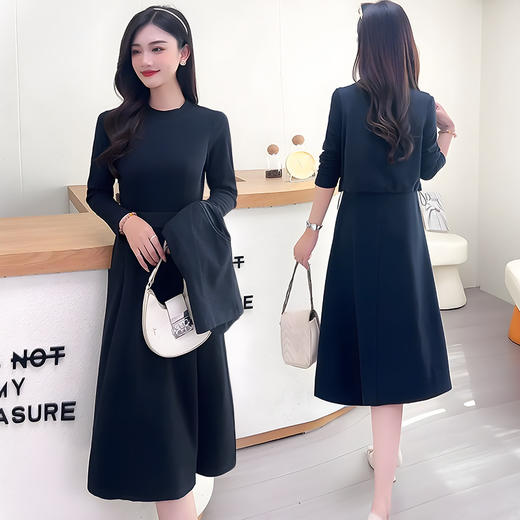 QYM 25MB17-Y时尚套装件套马甲+内搭长袖连衣裙套装 商品图2