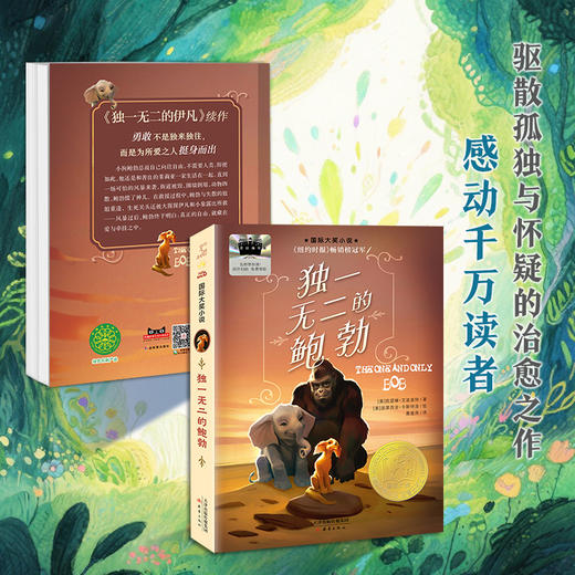 百班千人69期四年级阅读书目 独一无二的鲍勃   4年级课外书必读正版授权 商品图1