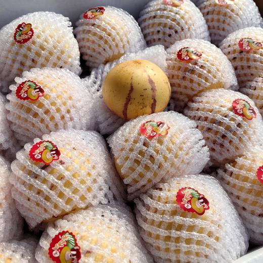 悠选好货当季人参果礼盒补水神器顺丰包邮包装随机下单可咨询客服批次信息 商品图3