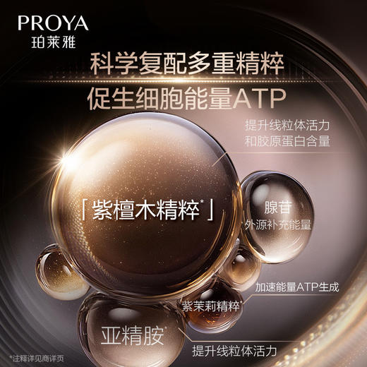 【重磅升级】【双旦礼遇季】珀莱雅能量精粹水2.0保湿紧致抗皱爽肤水护肤 商品图4