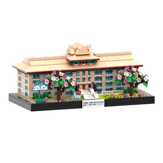 天大地标-第九教学楼积木摆件 商品图6