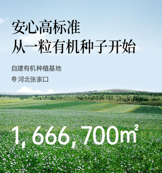 【OMEGA3系列】冷吃有机亚麻籽油250ml-会员专享 商品图4