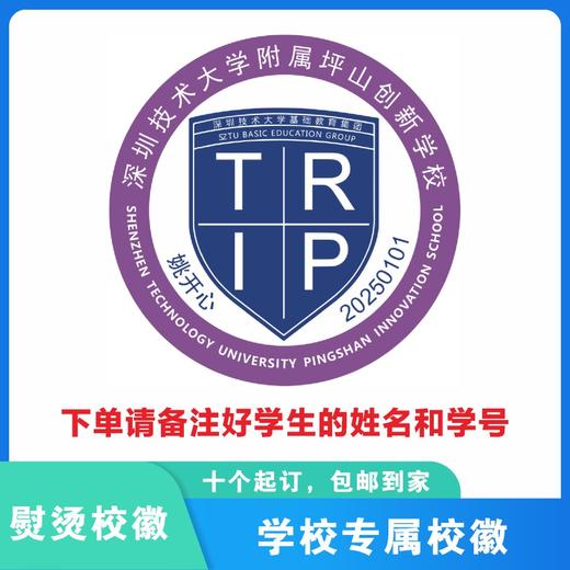 定制深圳技术大学附属坪山创新学校熨烫校徽布标胸章可缝制包邮51 商品图0