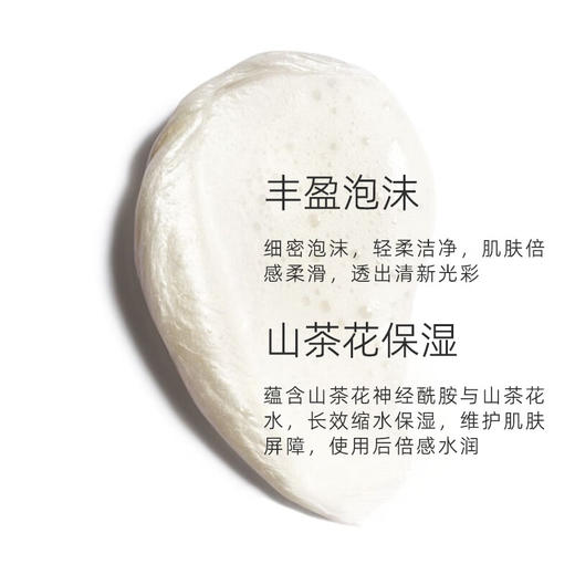 香奈儿山茶花泡沫保湿洁面乳150ml 有效期至≥14个月 商品图4
