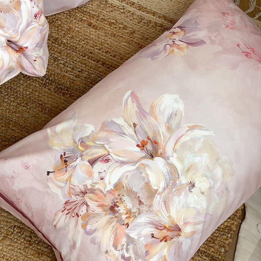 【热卖推荐】自然醒A类数码印花磨毛四件套AN 商品图12