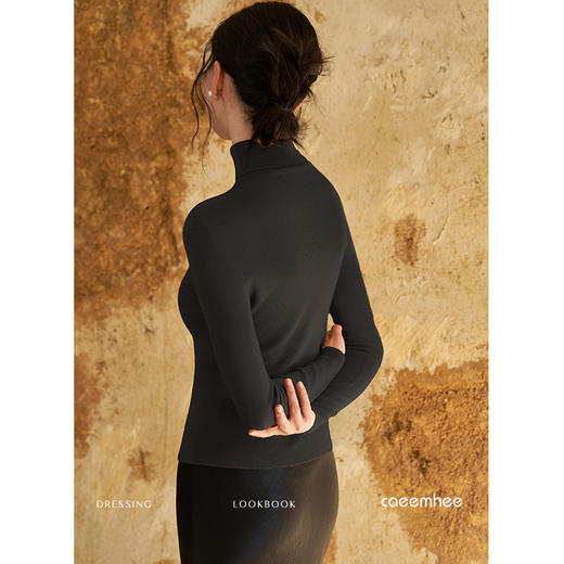 KY01751-D	卡益高领羊毛衫 商品图2