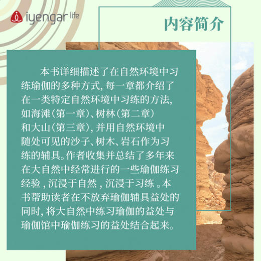 艾扬格 life B1204 师法自然—瑜伽习练与探索  作者:(以)奥哈德·纳克汤米(以)埃亚勒·希弗罗尼 商品图1