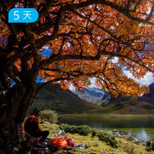 哈巴西坡，香格里拉小众徒步 5日 商品图2