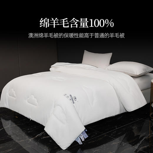 希尔顿羊毛被2.0 | 100%澳洲进口羊毛，吸湿、透气、保暖、舒适，睡眠更安心 商品图1