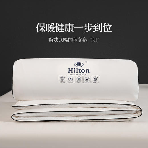 希尔顿羊毛被2.0 | 100%澳洲进口羊毛，吸湿、透气、保暖、舒适，睡眠更安心 商品图2